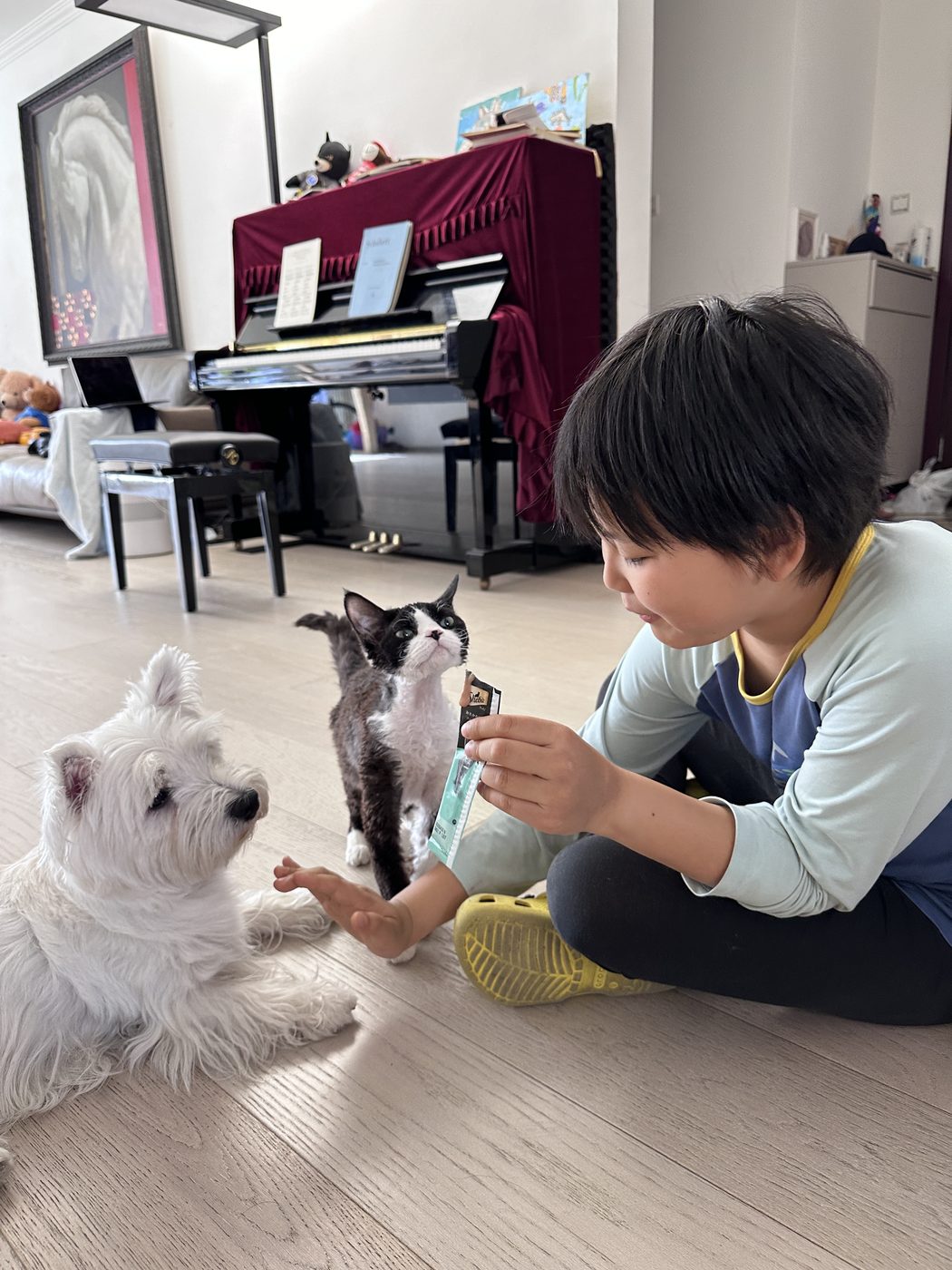 Alan Wang at home with his dog Snowy and cat